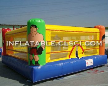 T11-1142 Inflatable Sports