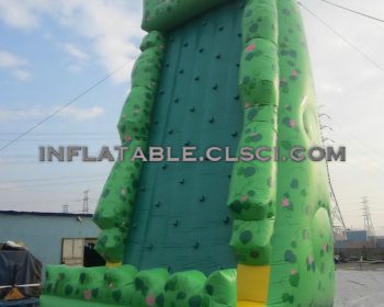 T11-239 Inflatable Sports