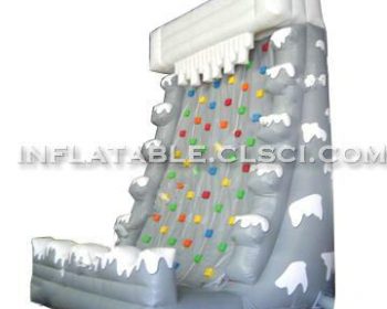 T11-697 Inflatable Sports