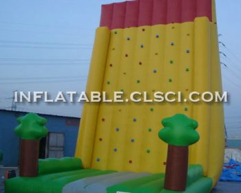 T11-923 Inflatable Sports