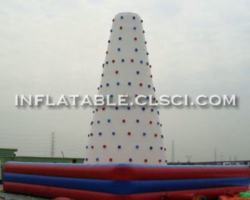 T11-950 Inflatable Sports