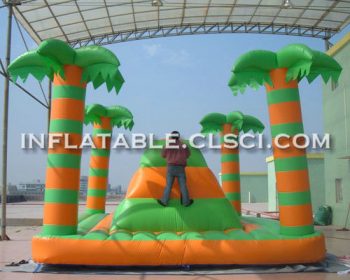 T11-993 Inflatable Sports