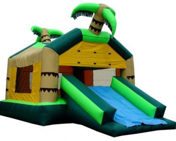 T2-1004 Inflatable Bouncer