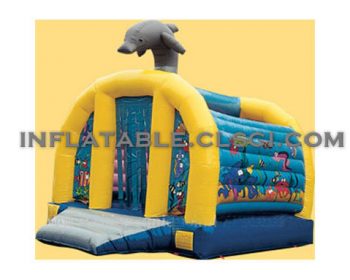 T2-1019 Inflatable Bouncer