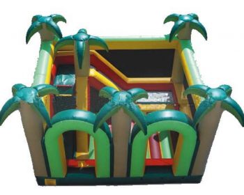 T2-1029 Inflatable Bouncer