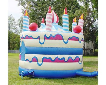 T2-1056 Inflatable Bouncer