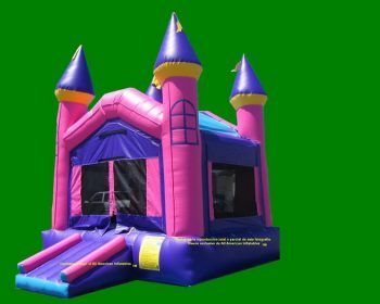 T2-1068 Inflatable Bouncer