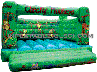 T2-1303 Inflatable Bouncer