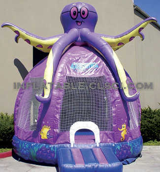 T2-1443 Inflatable Bouncer