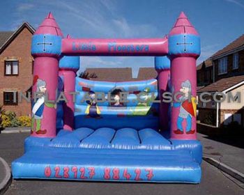 T2-1501 Inflatable Bouncer