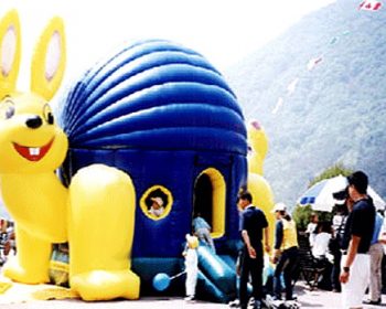 T2-186 inflatable bouncer