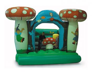 T2-191 inflatable bouncer