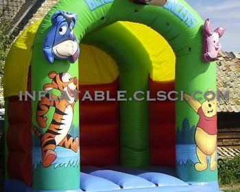 T2-2009 Inflatable Bouncer