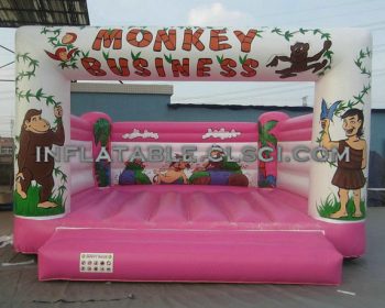 T2-2029    Inflatable Bouncers