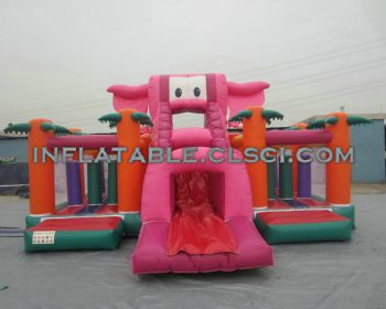 T2-2132   Inflatable Bouncers