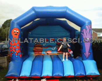 T2-2202 Inflatable Bouncer