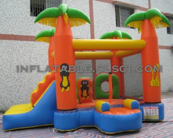 T2-3084 Inflatable Bouncers