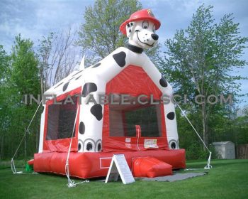 T2-794 inflatable bouncer