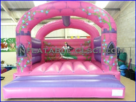 T2-918 inflatable bouncer