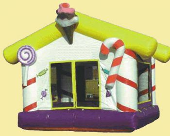 T2-962 Inflatable Bouncer