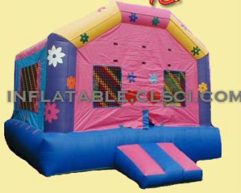 T2-966 Inflatable Bouncer