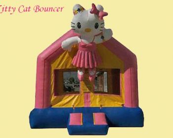 T2-971 inlatable bouncer